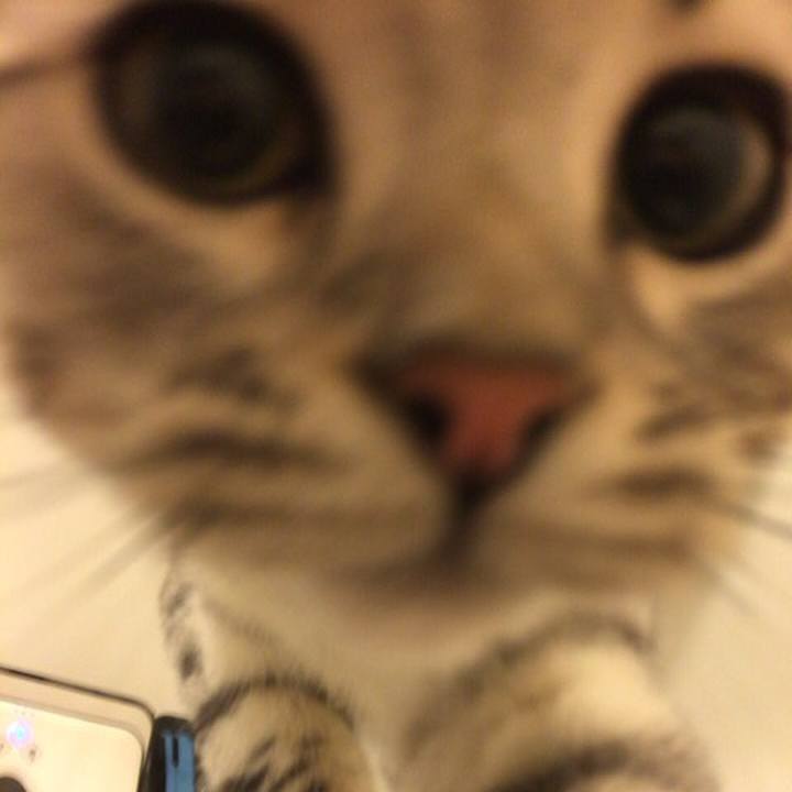 02211a9c 543d 49ad 9f76 9fb1a87eaba7