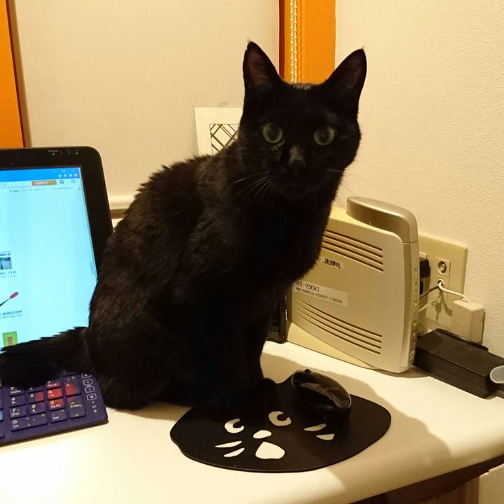 0221c6e1 34ea 47b8 b01f ec9a3cdd7088