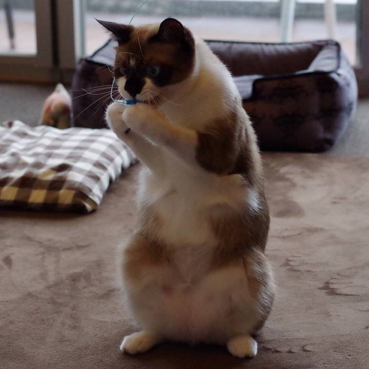 0221e1d0 b97e 44e5 bd89 77bc94749435