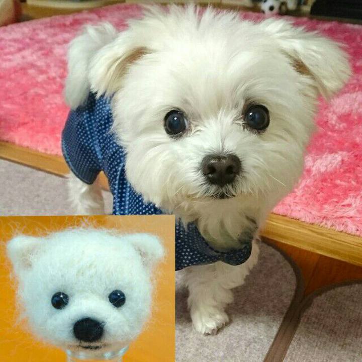 022236bc a59e 4a4a af67 80ee92854654