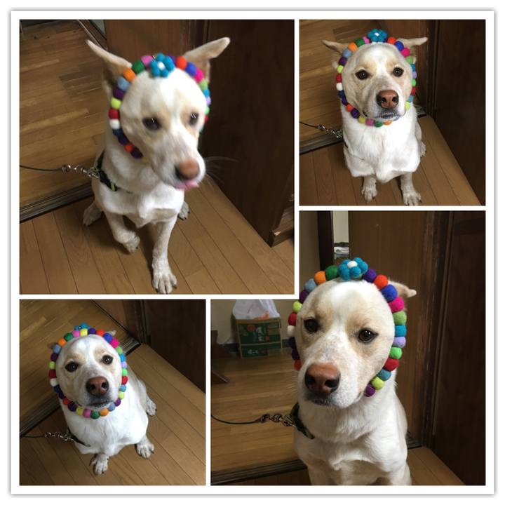 02224a84 11fc 4fe5 80ff 9031b518a56f