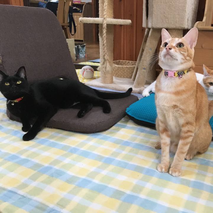 02225306 0c96 441b 8453 ada54d886c91