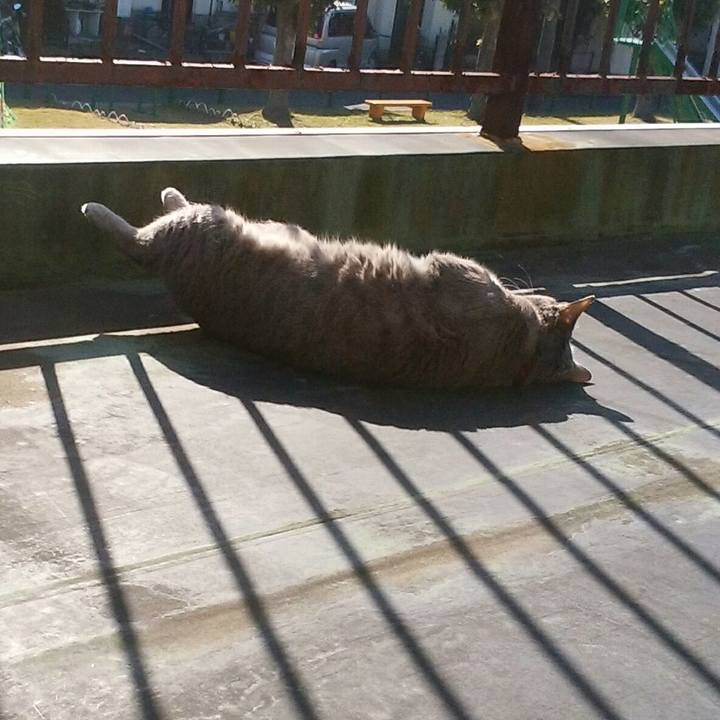 02227780 a137 488e bb03 f8c7285e5772