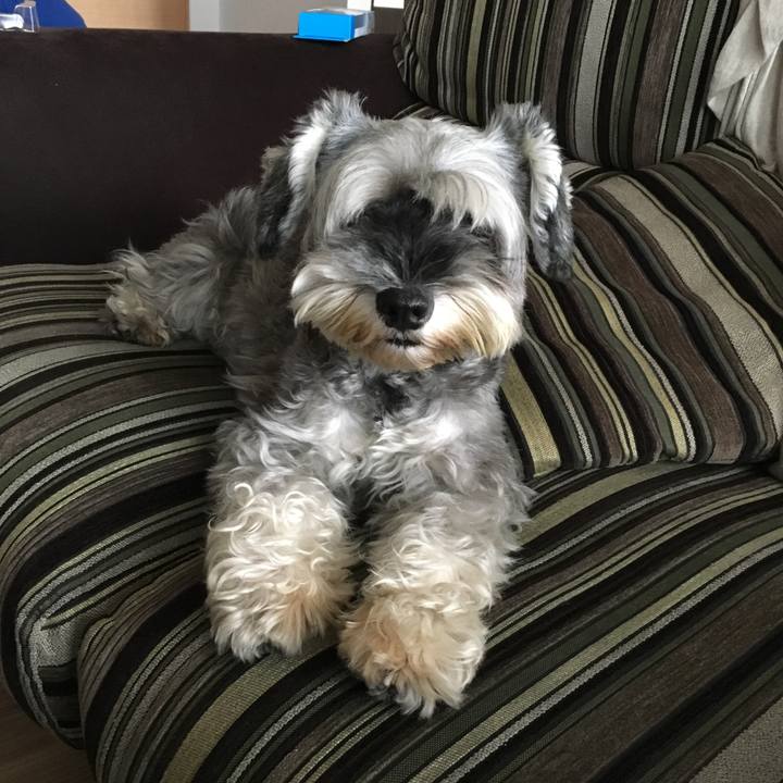 0223273f 5f2f 4bf5 bdb9 04372dee65e8