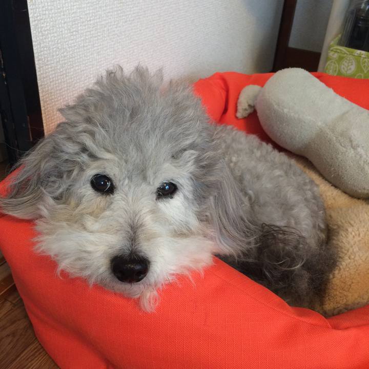 0223356e 6065 4387 a8b3 ad31c70a9a04