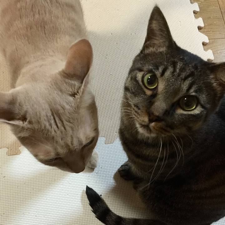 02235543 c68a 44e5 b1d1 09e55124adf4