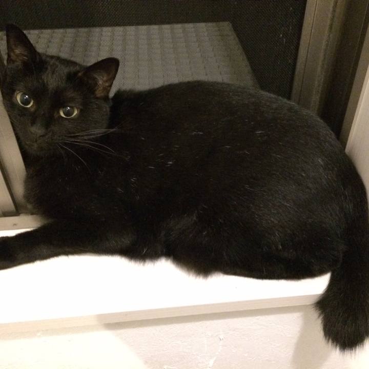 02239b34 fb35 4021 8c36 2e248f1d6cdb