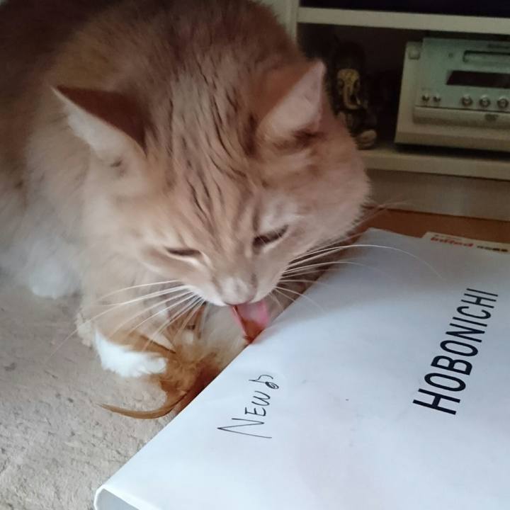 0223a2fd d63c 4fa6 8946 d471f75d53e2