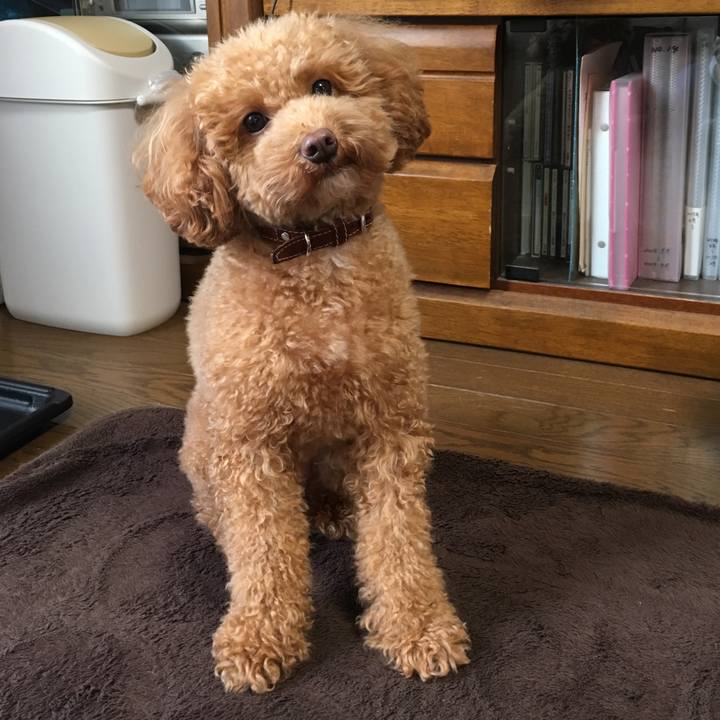 0223e0d9 8992 4797 a882 10bcea90eac7