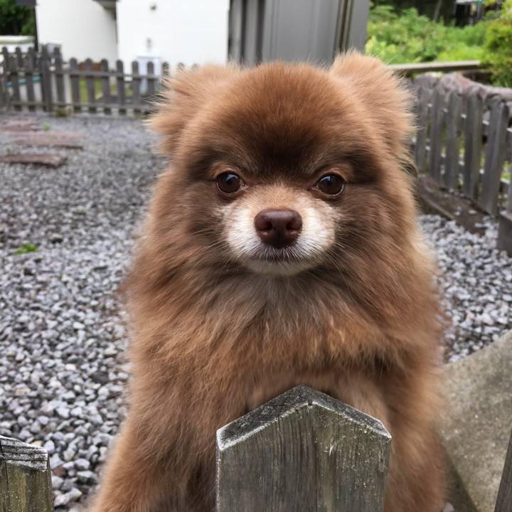 0225b045 1b6c 4a58 96fe d5641c31c900