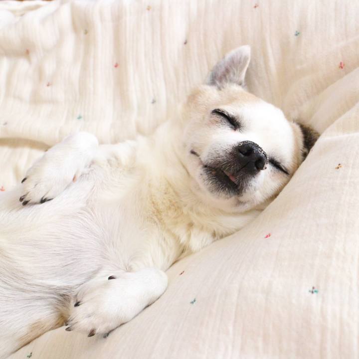 02261b26 0865 4031 82c8 438c239fd76f