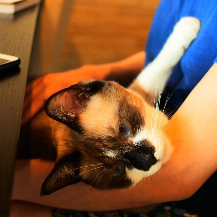 02264313 5736 458e 965f 2969ebec45cb