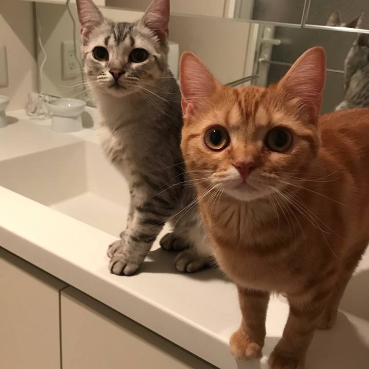 022655ad 6019 4c6a b432 05a8cd3d8d1d