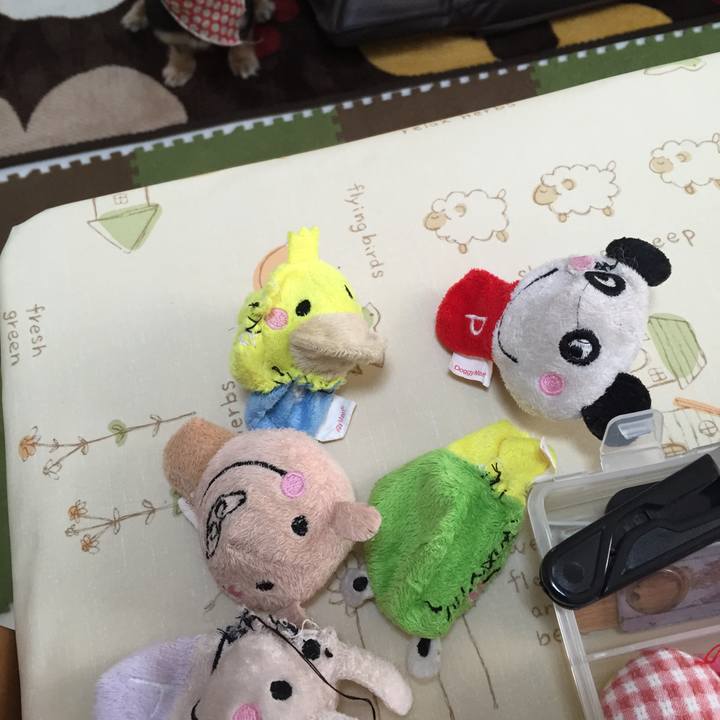 02267e92 d857 4365 8e77 a8aa297faf2a