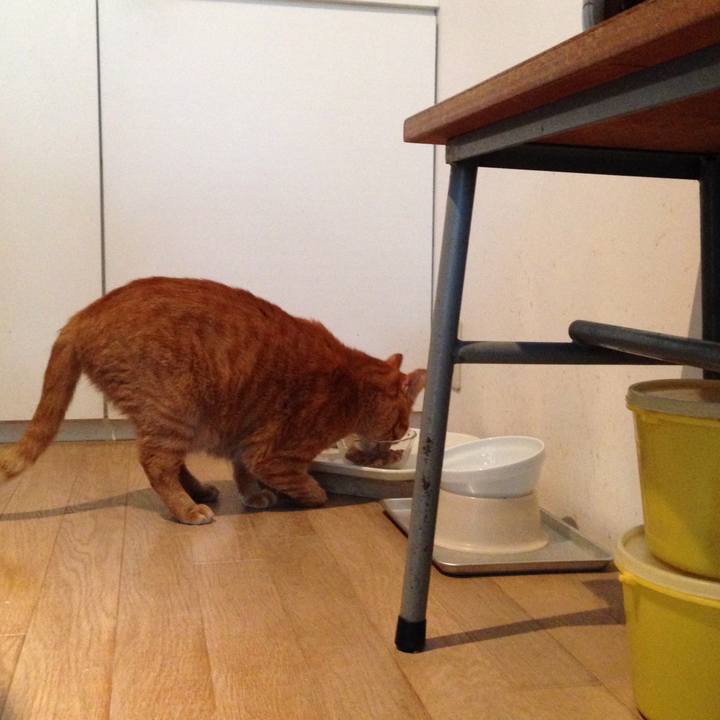 02267f84 293a 447a 935f fa400eadb567