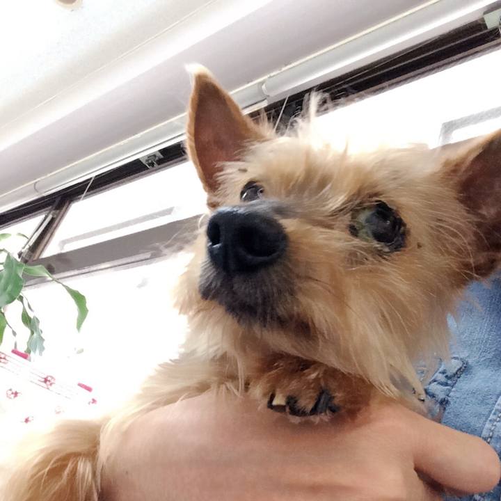 0226e9f1 f549 4385 8cd2 58857eb71fef