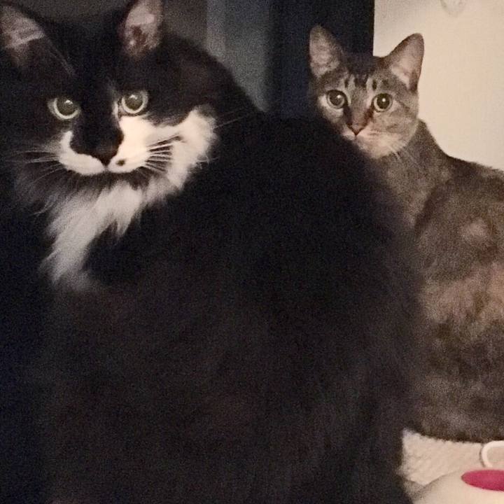 02274b68 f39c 4d5a b6b4 fa996e1f56c8