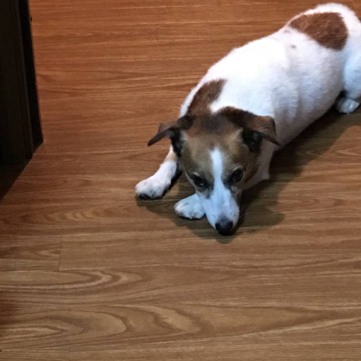 022775d9 4ff6 4810 a915 9c84ad3216e8