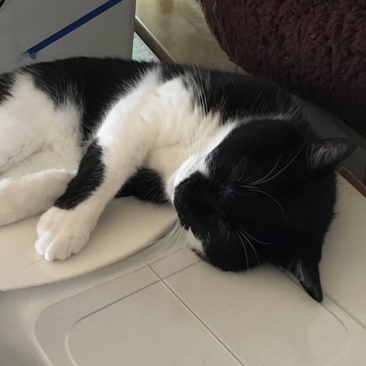 0227b8d0 bf8f 4c41 8831 373da19f0d7e