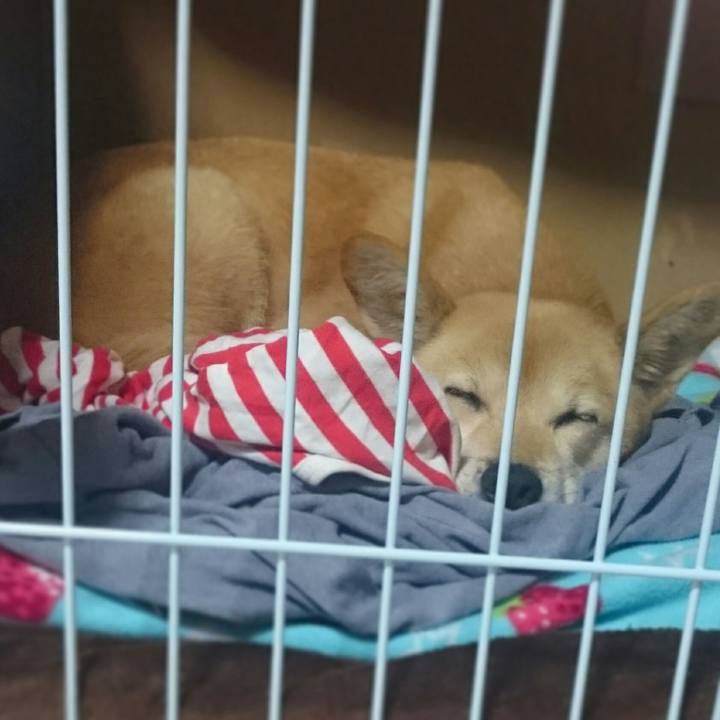 0227f2ae 3d3a 4455 be56 d65de619e994