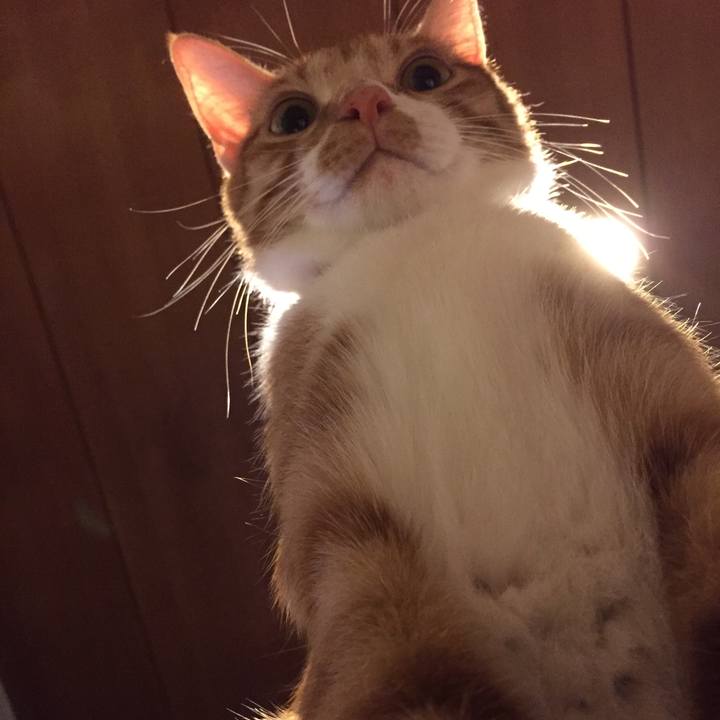 02285dce 82a4 4b9b b072 c803528546a0