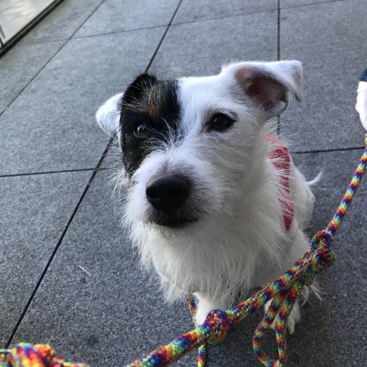 02294883 a18f 439b b8c6 e3cddd7bd295