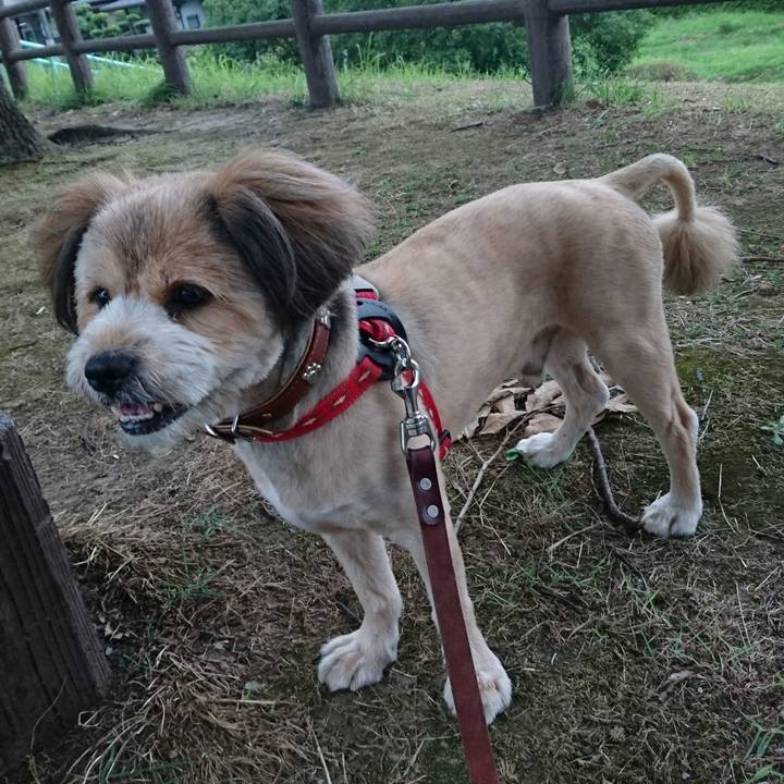 022969d7 26c4 4abc b755 949a1d86e04f