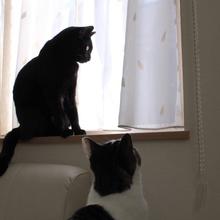 022af6bc c9d9 4763 98fe e0be524f02f5