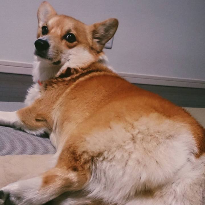 022c1c76 4621 45d5 b070 066f69598682