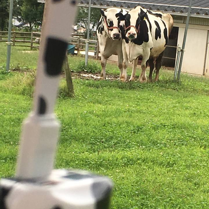 022c22e8 7f59 46a2 8661 135d26ca9397