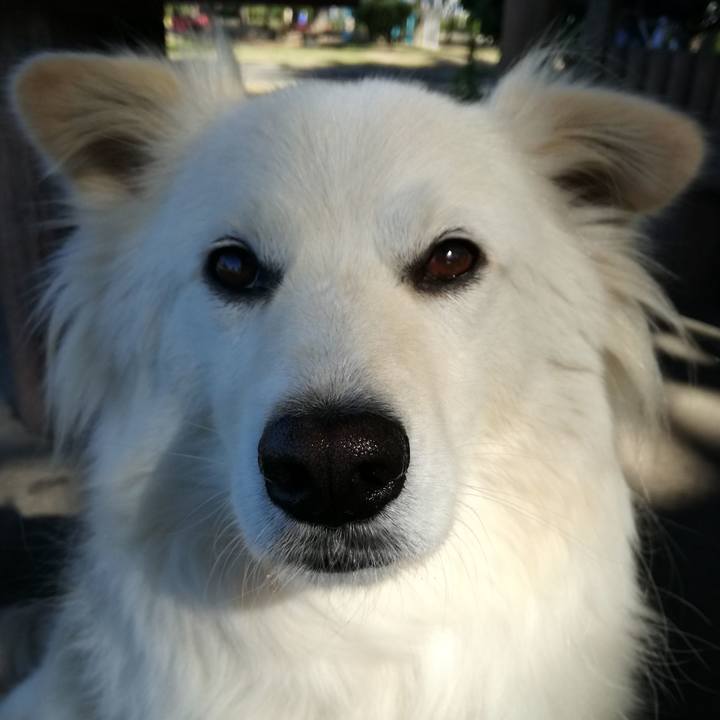 022c5391 d217 4288 81b4 f812301dfaf1