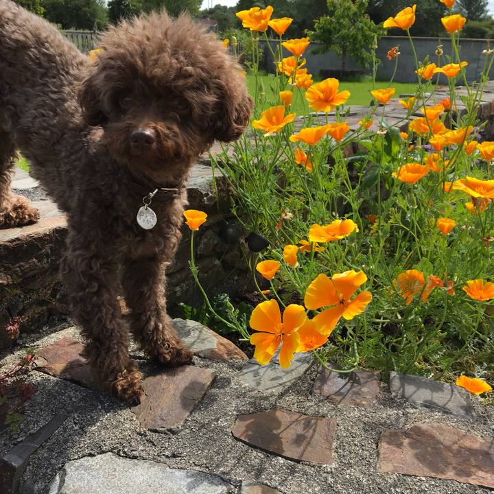 022c6bde 6609 484f 8807 692f34acadda