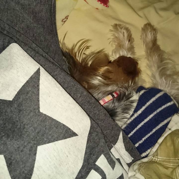 022d3ccd 8097 4f4b 9b89 7434edc7b175