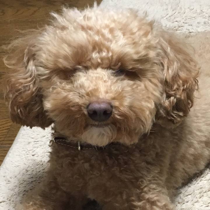 022d4f5e a959 43d3 92b0 9d2755cb7f8b