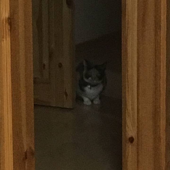 022d6684 6a8a 498e 929b 4a81153375af