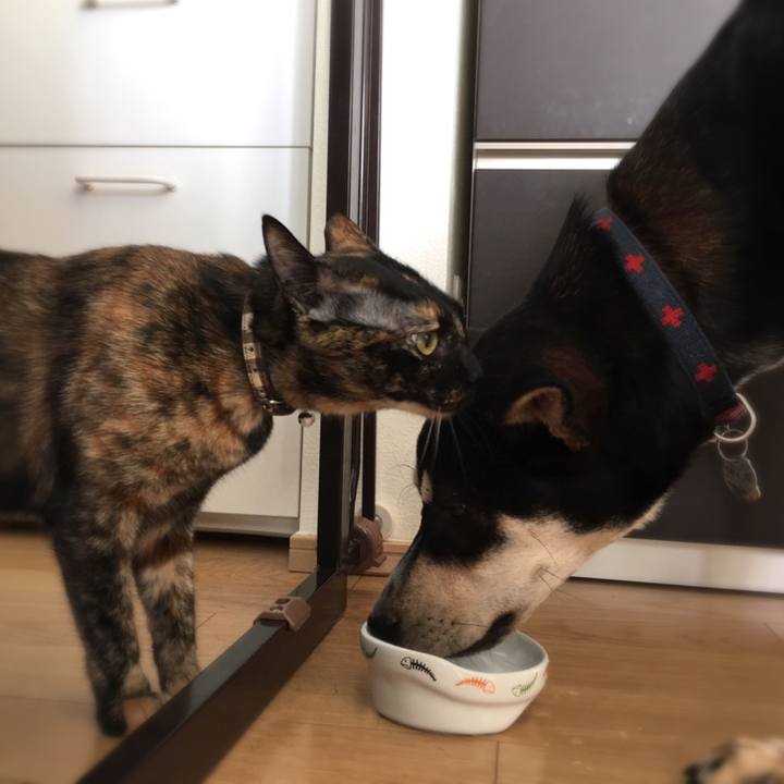 022dd5b5 561c 42c9 8415 382e5888619a