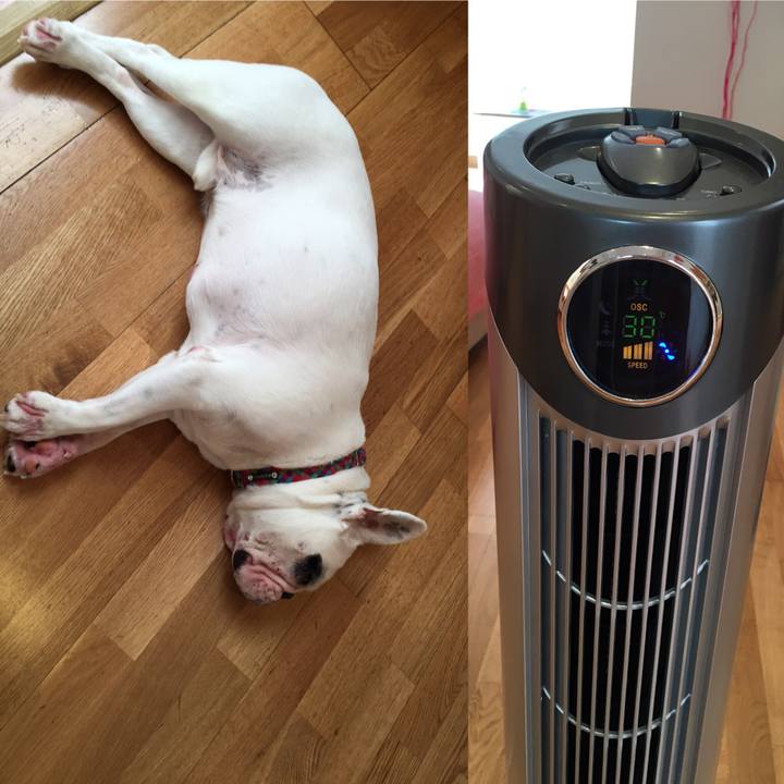 022fa8b4 16d0 42b9 98a1 8e7cb9d8edeb