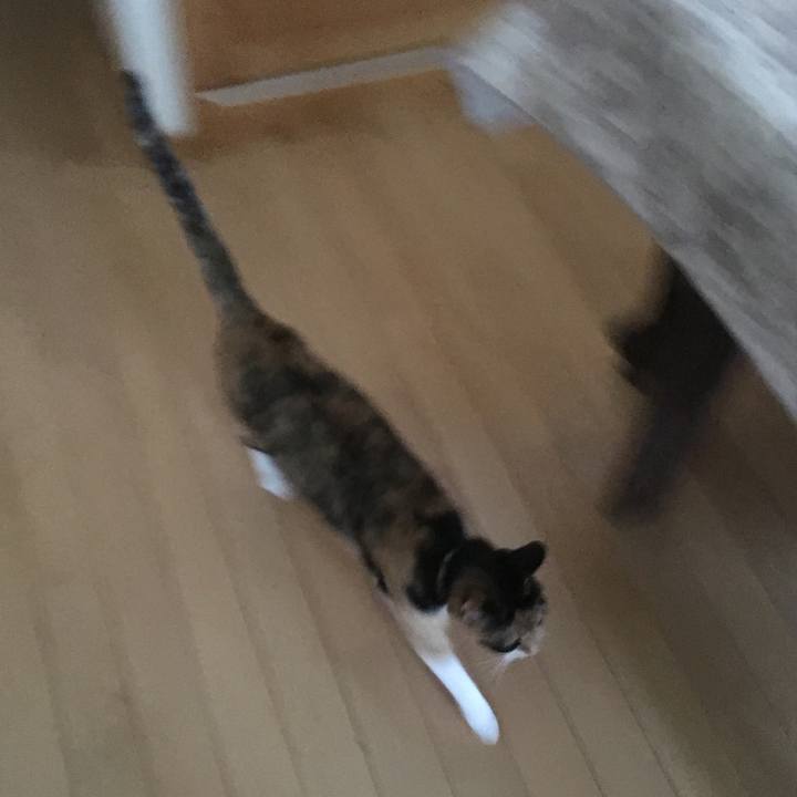 022fee1e 693d 452b ab49 87fdf515a63e