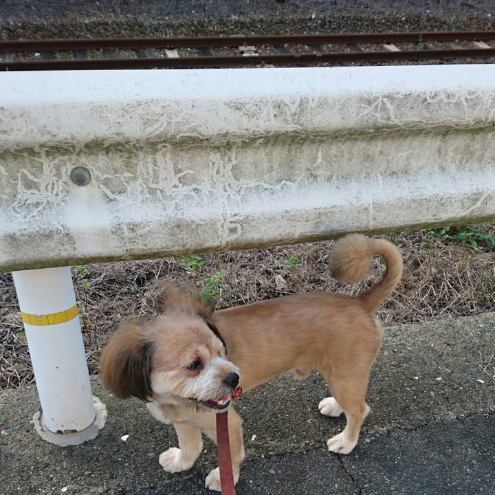 023046b2 fe33 4d46 befb a036dd59da30