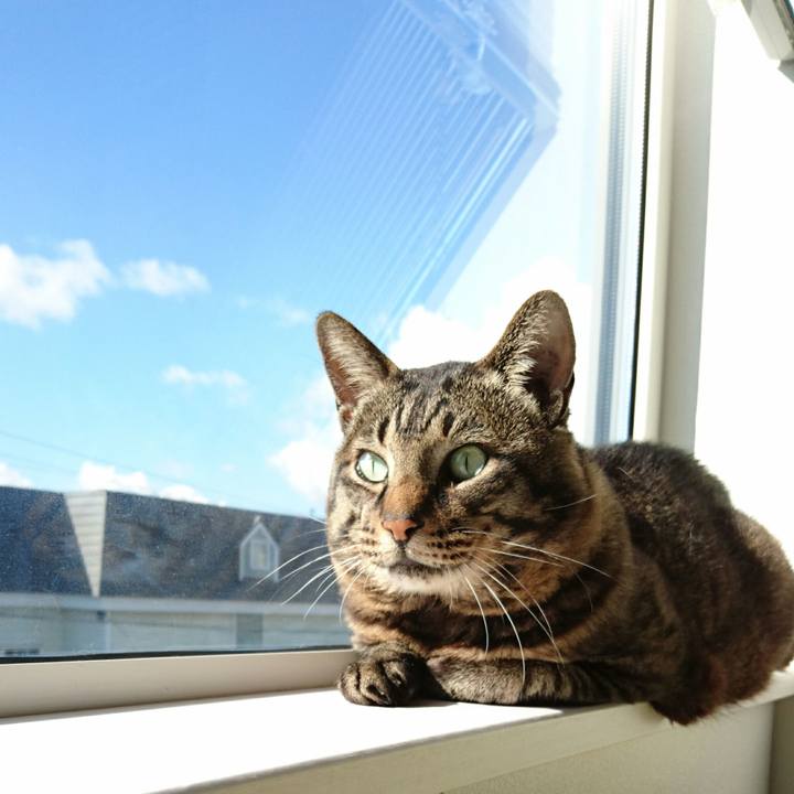 0230712f 4f10 4e95 b094 5f0e96b127eb