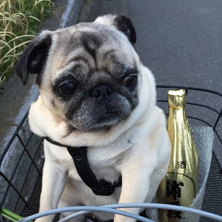 0230abf5 1c1c 4b38 8433 4505a1c3217b