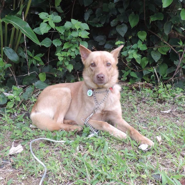 0230b5c7 39cf 451b 94aa 7e2db7ffb4c6