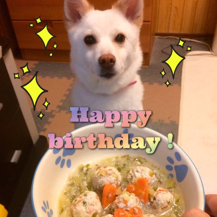 023211fa a503 40ee 9c33 a8f02926233d