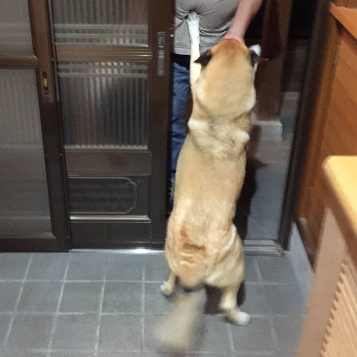 02325497 d680 4057 827b 6bbb49c484f8