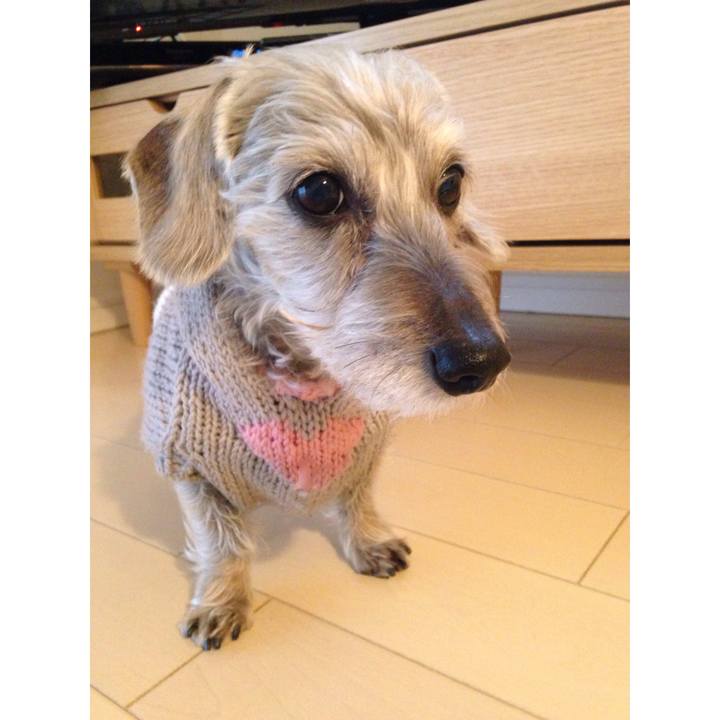 023290be a641 4454 a738 e0a741e90469