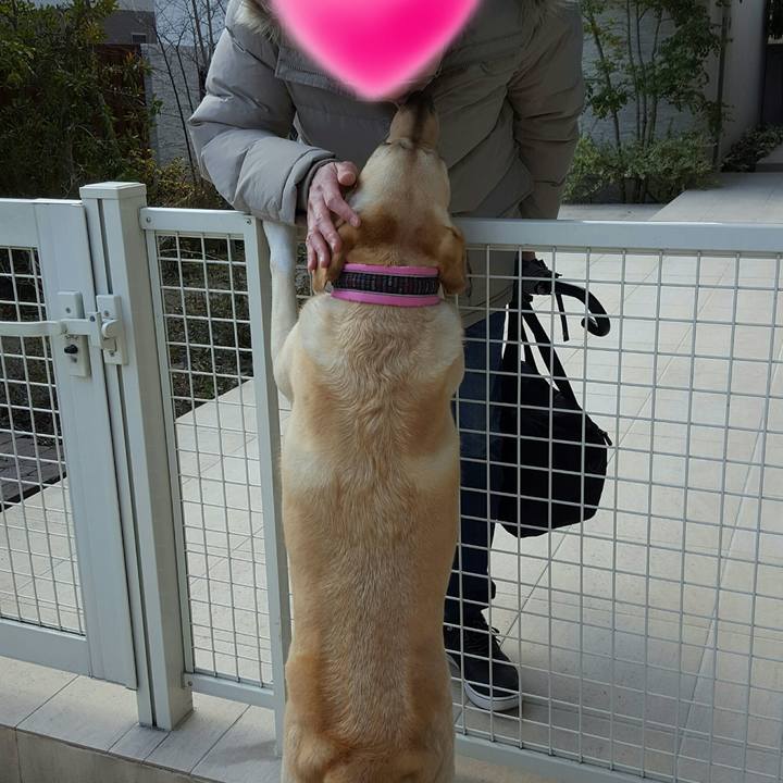 0233277d 3d88 47dd becf fe2c925485d9