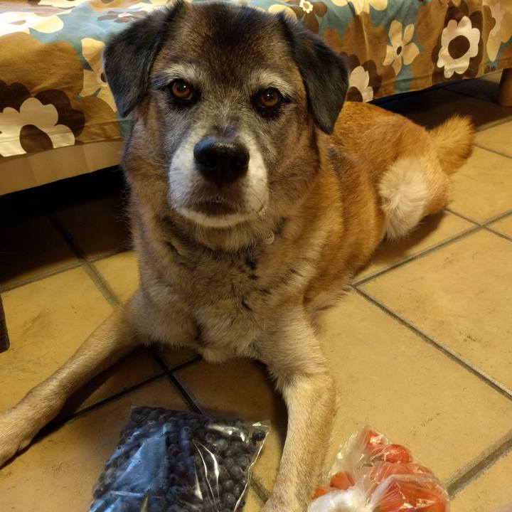 0233cd6a be38 48ff b701 c90c4706d02c