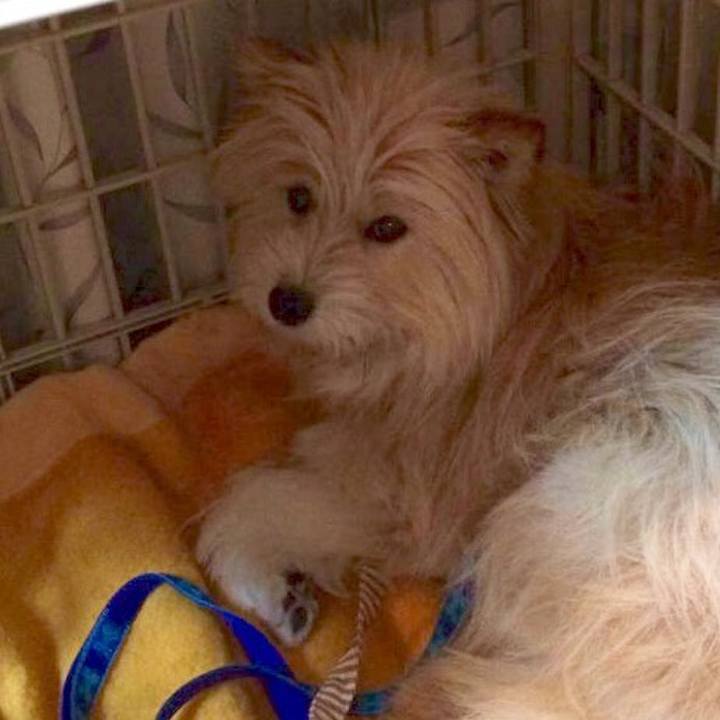 0234b9cb 7b3d 4572 96a1 029204fa0a97