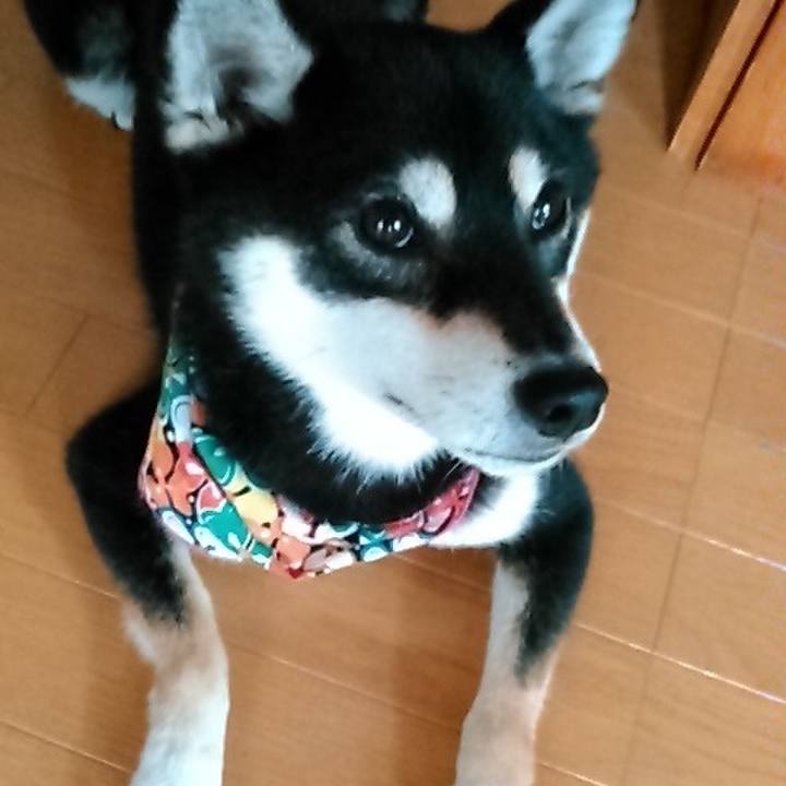 0234f849 45c1 4212 9d75 6eb4decb1706