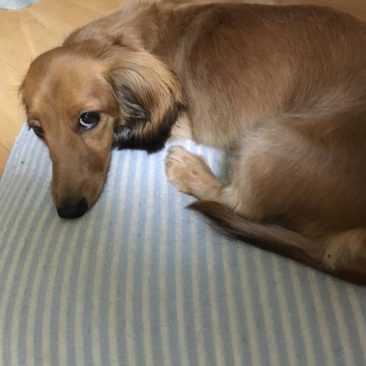 023516c9 61c4 4a28 abb2 c159c6abea97